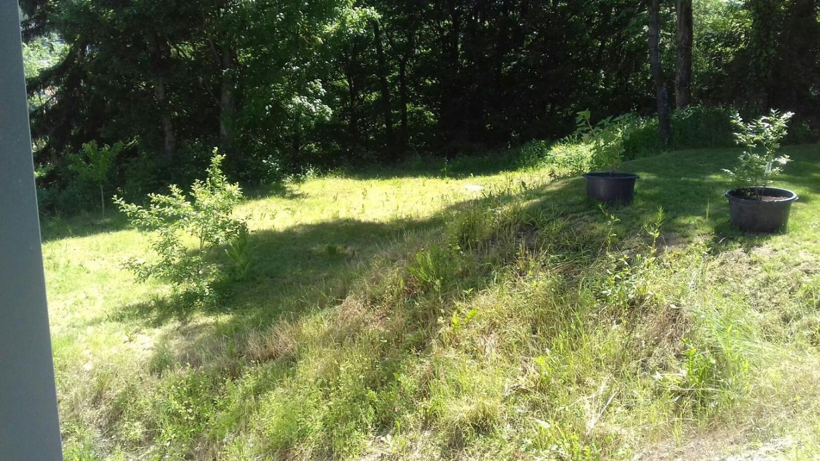 Ferienwohnung Ameis Heiligenstadt in Oberfranken Esterno foto